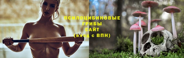 mix Белокуриха