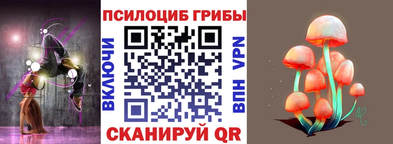 Псилоцибиновые грибы Psilocybine cubensis  Купить закладки  Сенгилей 