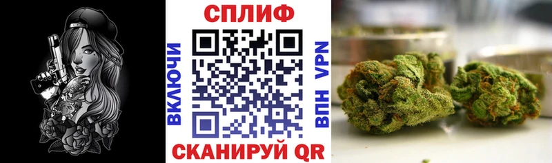 Конопля Amnesia  Купить  Сенгилей 